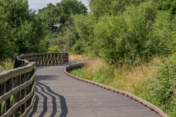Boardwalk
