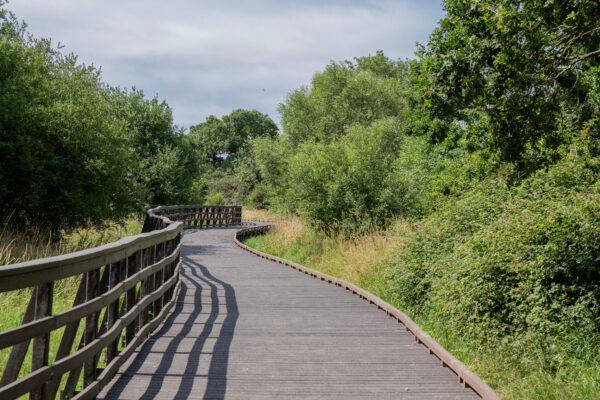 Boardwalk