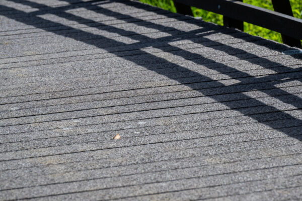 Boardwalk