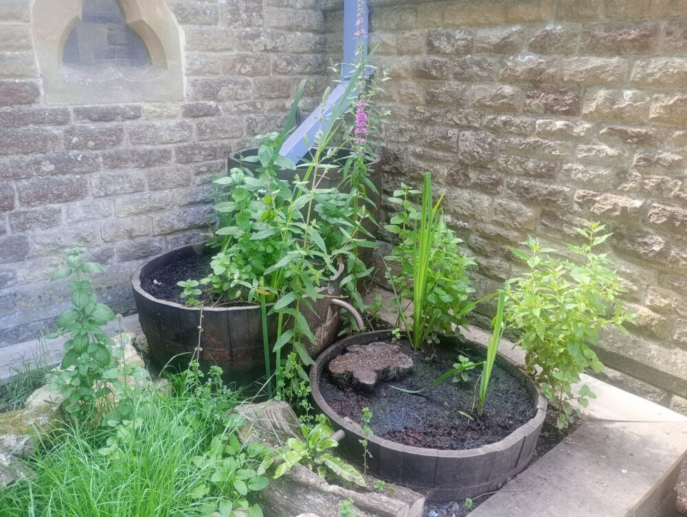 Rain garden water feature