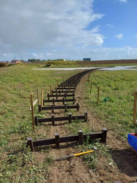Martello Lakes Boardwalk