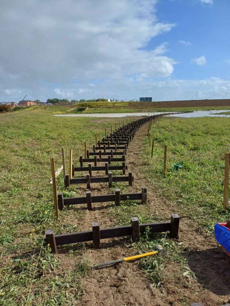 Martello Lakes Boardwalk