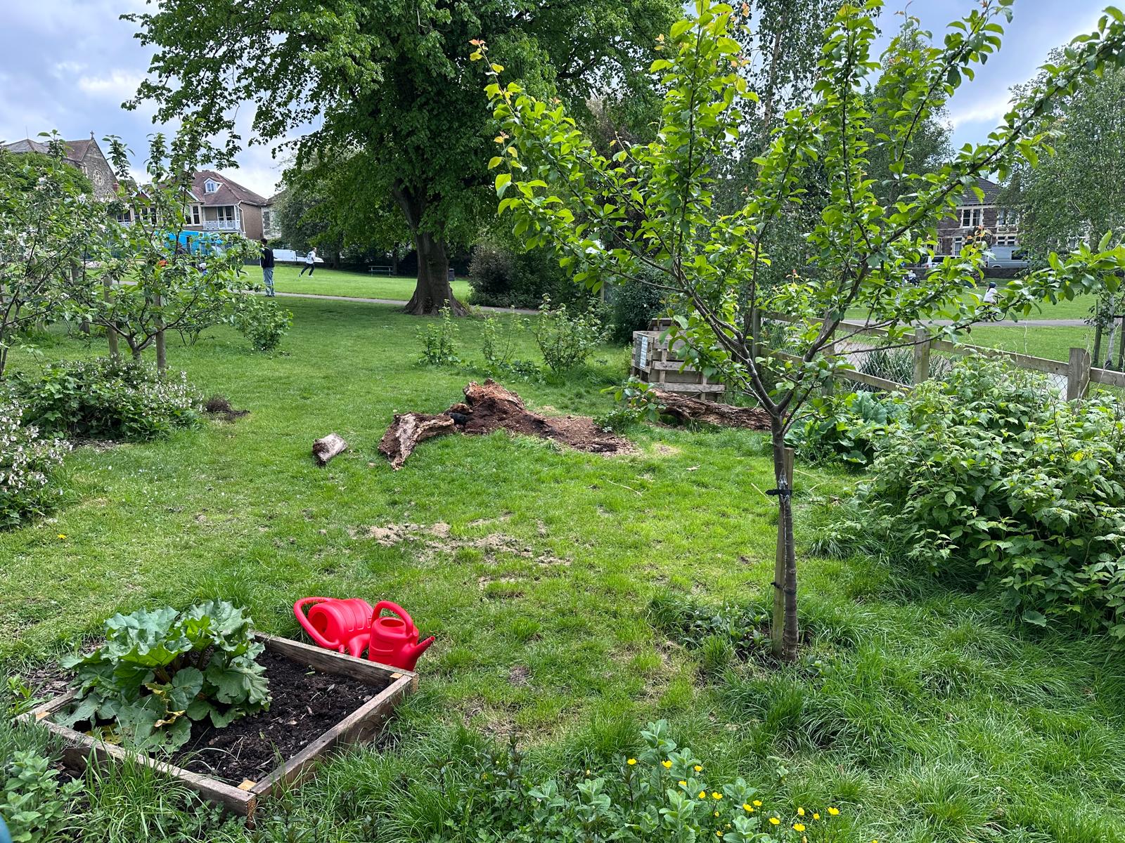 orchard